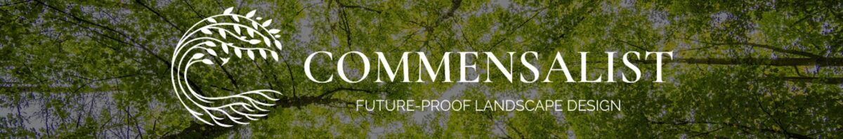 Food Forest Podcast: Thomas Doherty – Healing Through Food Forest Connections